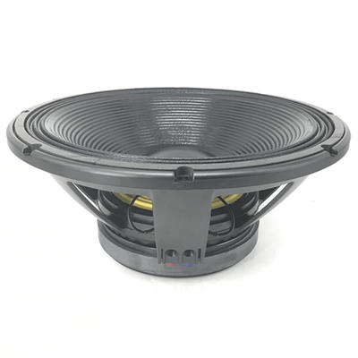 18'' 250mm Magnet 125mm Voice Coil Speaker  SUBWOOFER Model LR1812501