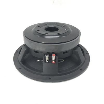 12'' 220mm Magnet 75mm Voice Coil Speaker WOOFER Model LJ121001