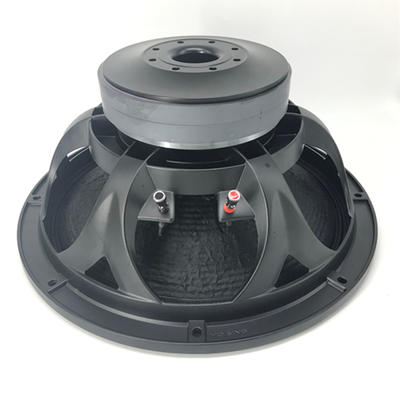 18'' Dual 220mm Magnet 100mm Voice Coil Pro Speaker WOOFER Model X181001