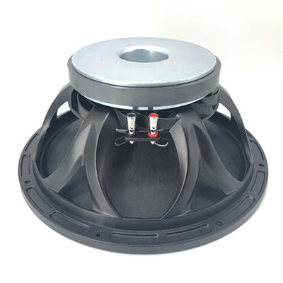 15'' 220mm Magnet 100mm Voice Coil Pro Speaker WOOFER Model X151002
